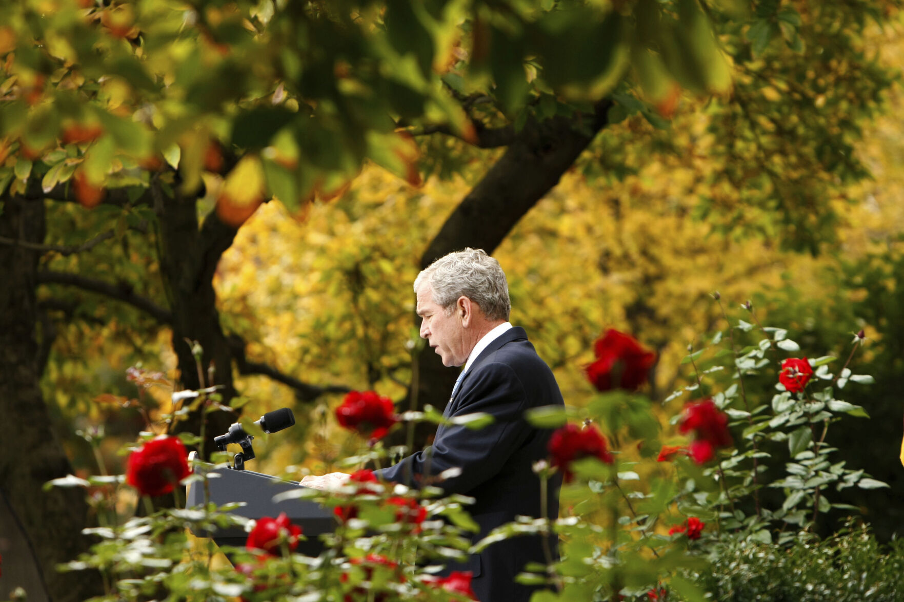 Trump Rose Garden